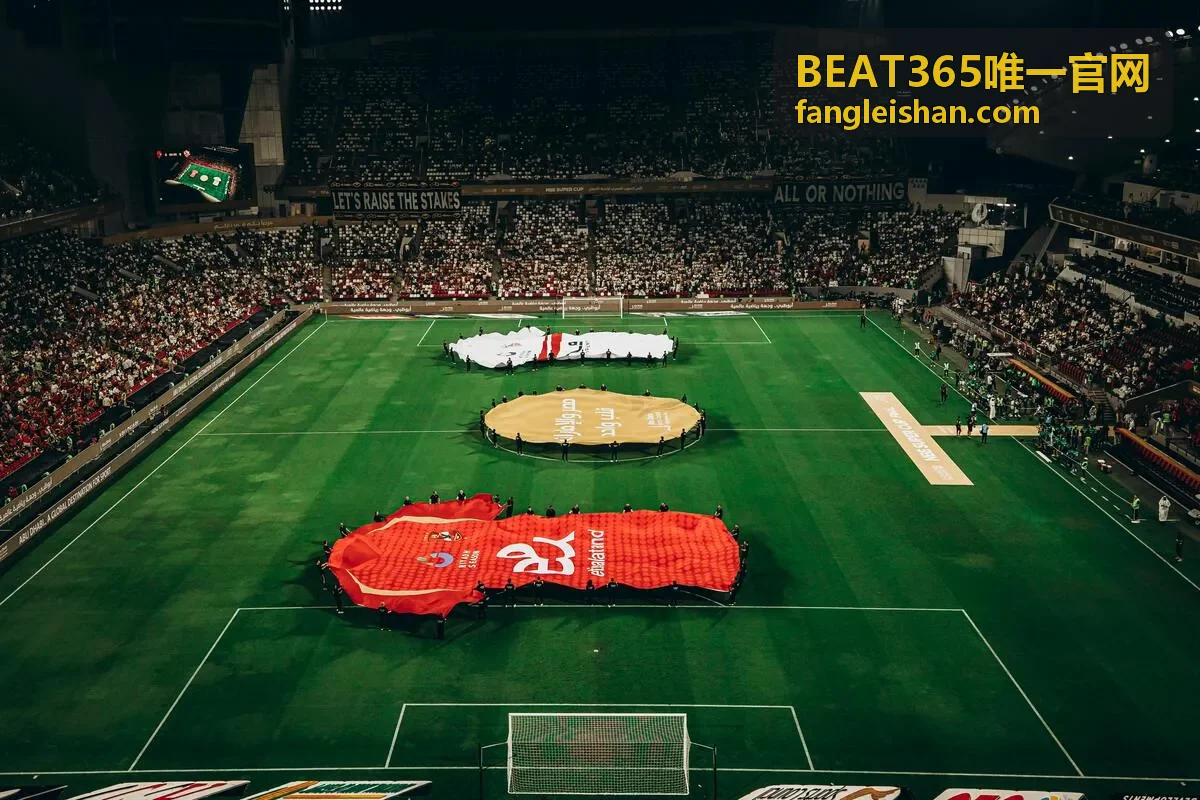 BEAT365唯一官网使用指南